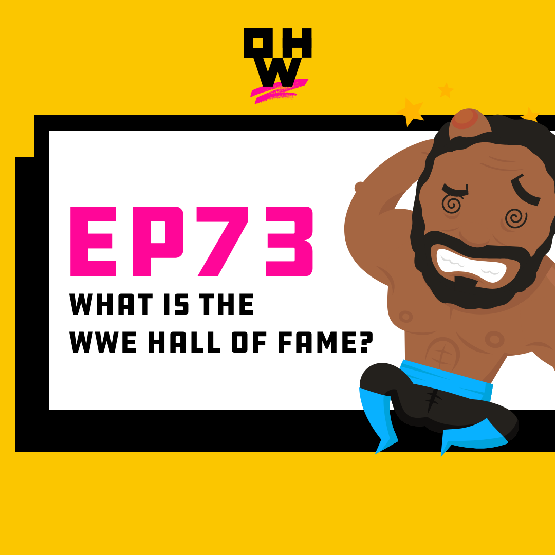 What is the WWE Hall of Fame? OWP 73